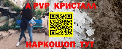 крисы Кулебаки