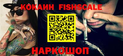 крисы Кулебаки