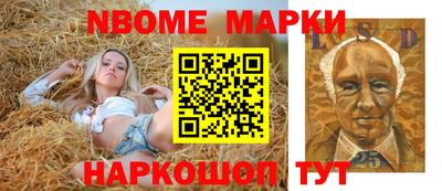 крисы Кулебаки