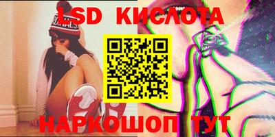 крисы Кулебаки