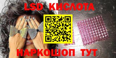 крисы Кулебаки