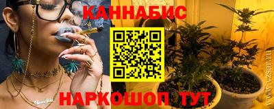 крисы Кулебаки