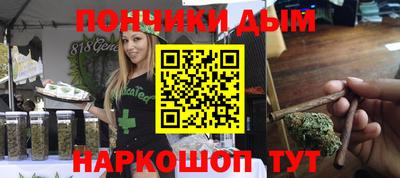 крисы Кулебаки