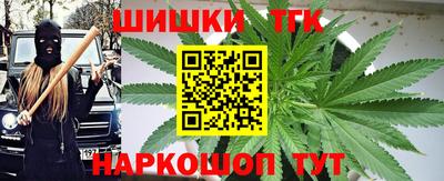 крисы Кулебаки