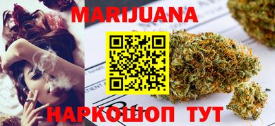 крисы Кулебаки