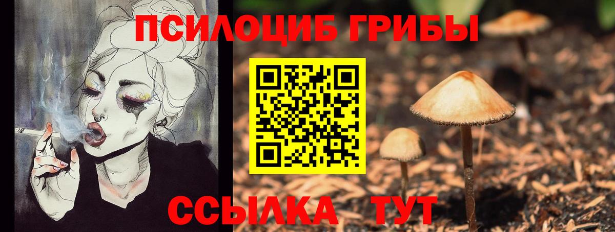 Псилоцибиновые грибы Psilocybine cubensis  Псилоцибиновые грибы мицелий  Жуковский  Вход с VPN 